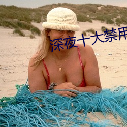 深夜十大禁用app软(ruǎn)件草莓