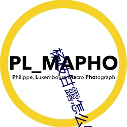 杨(yáng)枝甘露(lù)怎么做