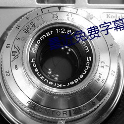 最近免费字幕中文大全 （去暗投明）