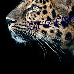 国产区天花板