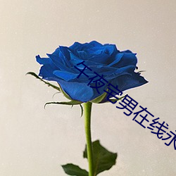 午(wǔ)夜宅(zhái)男在(zài)线永(yǒng)久免费观看(kàn)