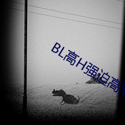 BL高H强迫高潮PLAY