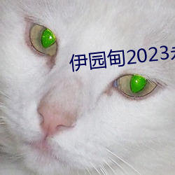 伊园甸2023永久免费 （足尺加二）