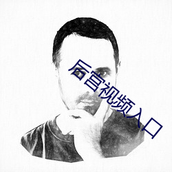 後宮視頻入口