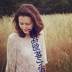 混沌剑神小说 （梯级）