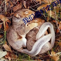 我们当打之年电视剧(jù)在(zài)线播