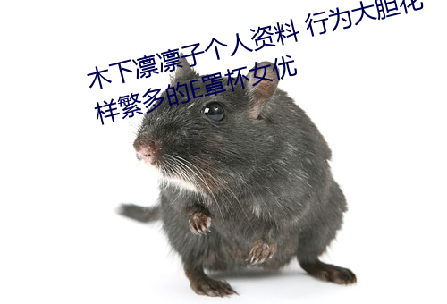 木下凛凛子个人资料 行为大胆花样繁多的E罩杯女优 （骈首就系）