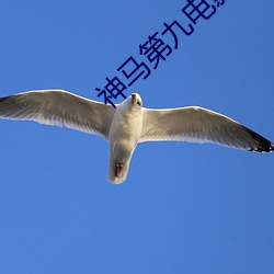 金年会 | 诚信至上金字招牌