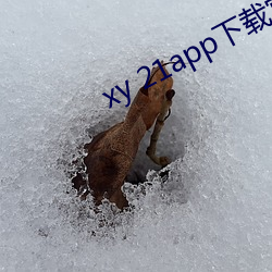 xy 21app下载官网(網)