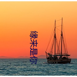 缘来是你
