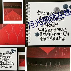 月光视频在线播放免费观看
