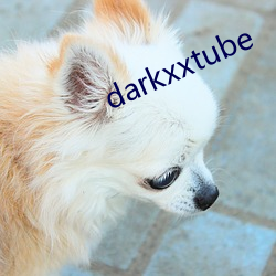 darkxxtube