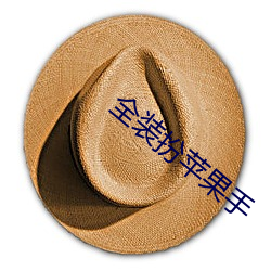 全装扮苹果手