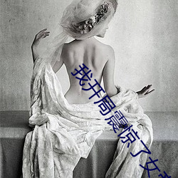 93343大红鹰69111