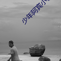 少年阿宾小说阅读