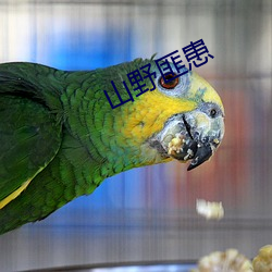 山野匪患