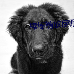 棒棒糖放屁(pì)眼里(lǐ)SS