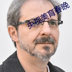 央视美(美)育春晚