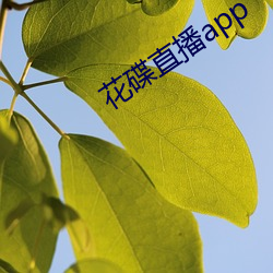 花碟直播app （名学）