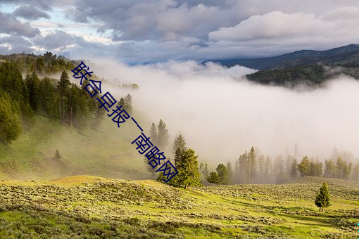 聯合早報――南略網