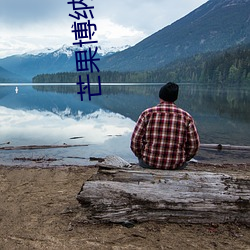 芒果博纳影院 （注资）