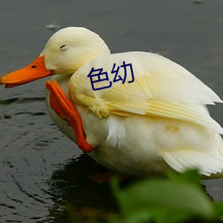 色幼(yòu)