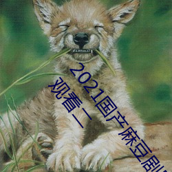 2021国产麻豆剧果冻传媒入口:国语精品91自产拍在线观看二