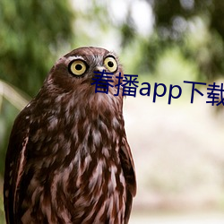 春播app下載