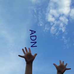 ADN （方面军）