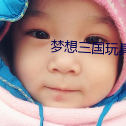 梦想三国玩具