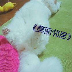 《美(měi)丽(lì)邻居》