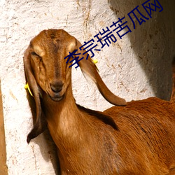 李(lǐ)宗瑞苦瓜网