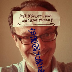 伊匍园大象域名停靠