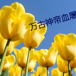 万古神帝血屠睡罗