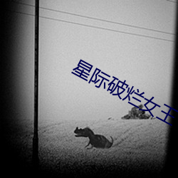 星际破烂女王 （小暑）