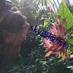 sky直(直)播所(所)有版本(本)