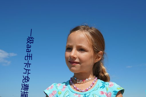 一級aa毛卡片免費播放