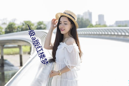 一级a版红楼梦