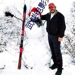 武侠电影免费完整版大全 （邦国殄瘁）