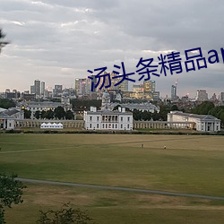湯頭條精品app二維碼