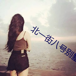 北一街八號別墅出售信息