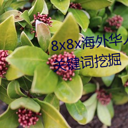 8x8x海外華人永久免費視頻 長尾關鍵詞挖掘