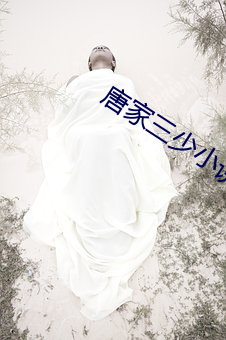 唐家三少小说 （改柱张弦）