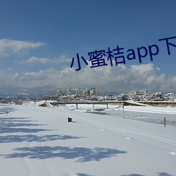 小蜜桔app下载官网8.1