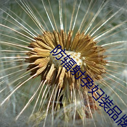 防輻射孕婦裝品牌
