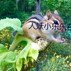人妖小乐乐(樂)在日本性爱视频