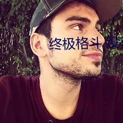 终极(jí)格斗 没有打击感