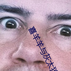 喜(喜)羊羊与灰太狼(狼)之决战(戰)次(次)时