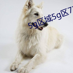 5g区域5g区7777