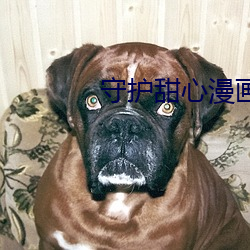 守护甜(tián)心漫(màn)画全集